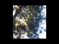 Tree Service Hacienda Heights 818-473-LALO(5256)
