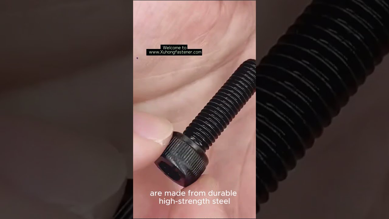 The Full Thread Grade 12 9 High Strength Hex Socket Cup Head Bolts M4 M20 Fasteners Bolt