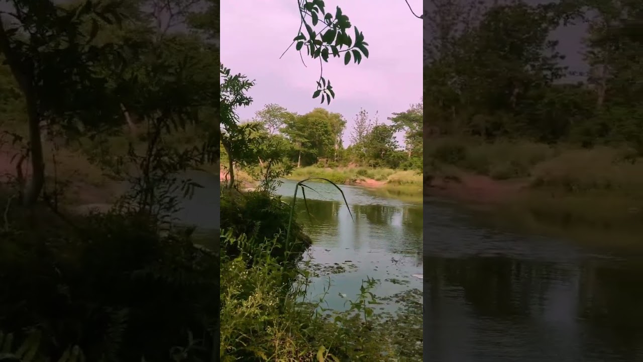 A DAY HAVING WITH CHAIBASA STREET FOODS | PART 1 |