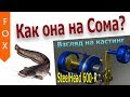 SteelHead 600-R на сома! Русская рыбалка 4