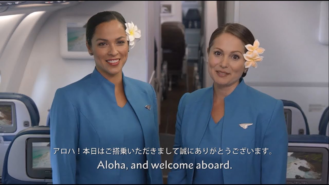 ハワイ HAWAIIAN AIRLINE/ハワイアン航空  サンシェード