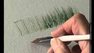 Terry Harrison's Pro Arte Masterstroke Brushes - The Flat Comb/ Rake screenshot 4