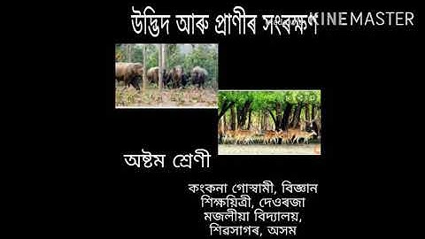 উদ্ভিদ আৰু প্ৰাণীৰ সংৰক্ষণ...class 8 science chapter 7...PART 1