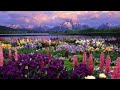 Music To Inspire Happiness And Motivation ,Relaxing Music, Study Music, Meditation Music
