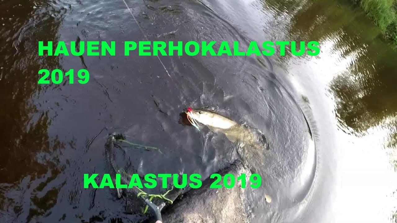 Hauen perhokalastus 2019 | kalastus 2019