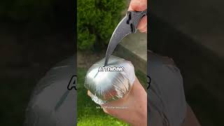 Partners Secret Double Life Exposed