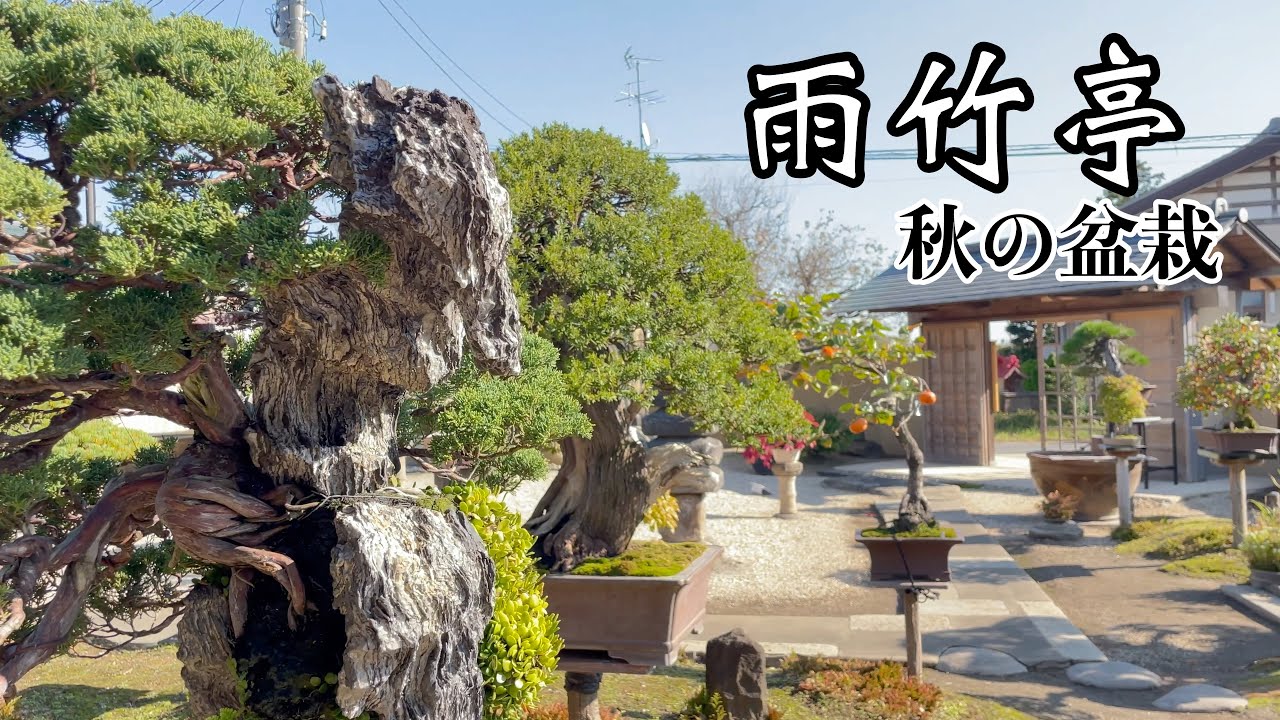 雨竹亭 