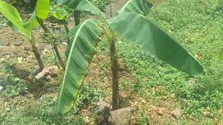 Making My House A Home ..