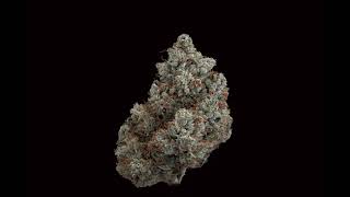 Kush Co OG