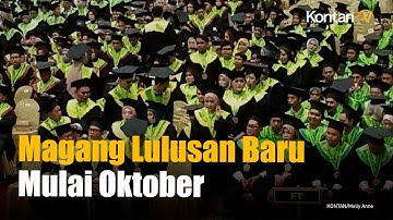 Airlangga Sebut Program Magang Lulusan Baru Ditargetkan Berjalan pada Kuartal IV 2025