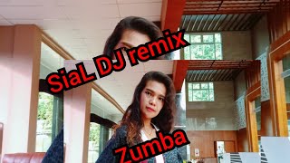 SIAL DJ remix