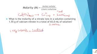 Solution Concentrations of Ions