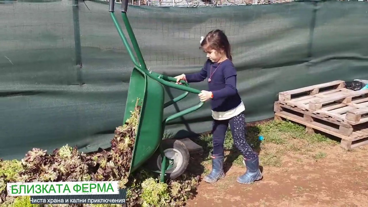 Бързи, смели, сръчни