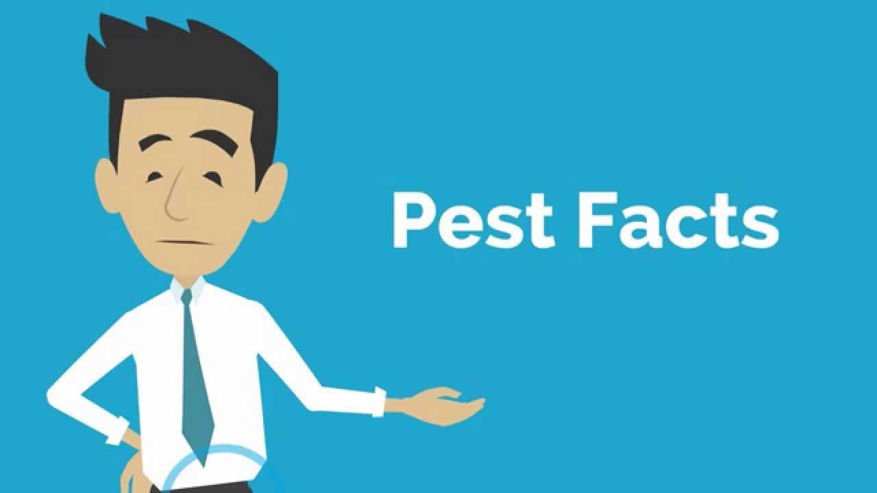 Pest Facts Home