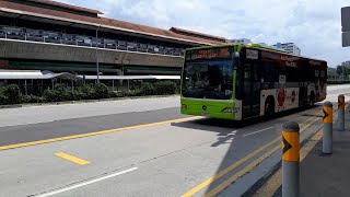 (Singtel Circle Full Body Advertisement) SBS6855L(SEDEP 811) On Service 806 At Yishun Avenue 2 (Singtel Circle Full Body Advertisement) SBS6855L(SEDEP 811) On Service 806 At Yishun Avenue 2