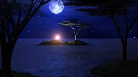 أفضل تلاوة خاشعة للقارئ نايف الفيصل بصوت هادئ ورائع