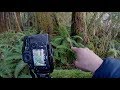 COMPOSITION TIPS &amp; RAINFOREST PHOTOGRAPHY | The Wilderness Photography Expeditions S1E3