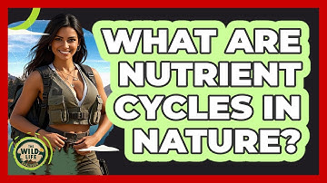 What Are Nutrient Cycles In Nature?