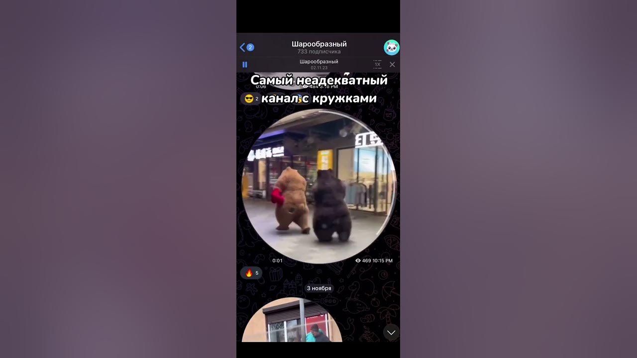 ⚠️Самые смешные кружки только в этом канале, подписывайся😉🤯 #юмор # ...