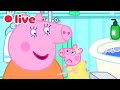Peppa Pig NEW BABY EVIE Episodes LIVE 🍼 Cutest &amp; Funniest Moments 🥹💛 Kids Cartoons
