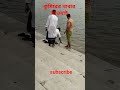 কুমিরের খাবার খাওয়াই।