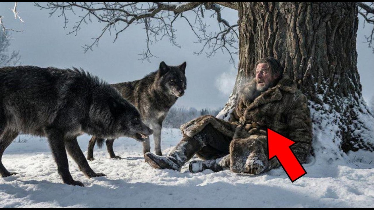 ВОЛКИ нашли БЕГЛЕЦА в тайге… То, что они СДЕЛАЛИ — не поверил бы НИКТО!