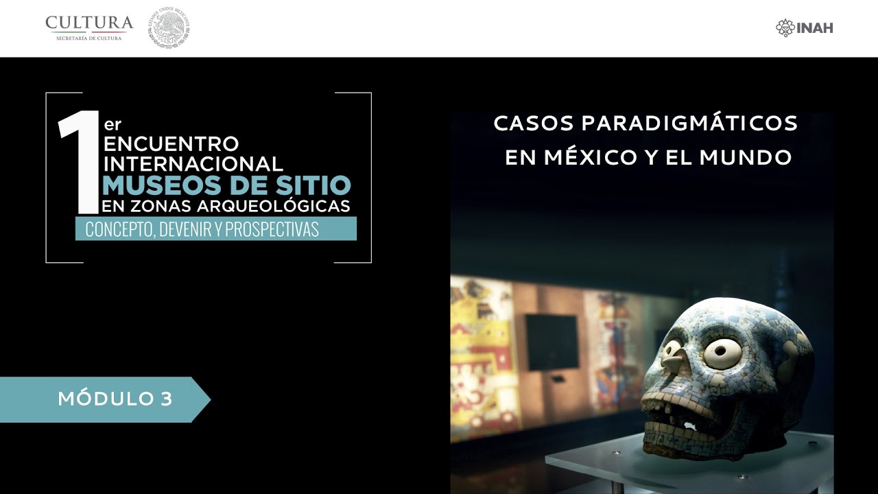 zonasinhunter Módulo 3. Casos Paradigmáticos en México y el Mundo