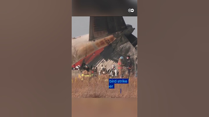 The moment a  plane crashed upon landing, bursting into flames in South Korea | DW News