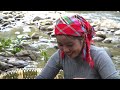 How to Harvest Giant School of Fish with Basket and Bring to Market to Sell with Single Mom
