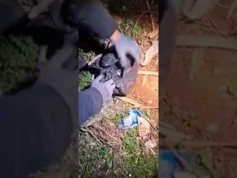 Εξαρθρώθηκε εγκληματική οργάνωση που αποθήκευε και διακινούσε ναρκωτικά στη Θεσσαλονίκη