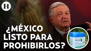 ¿Qué es el glifosato y por qué AMLO lo vetó junto al maíz transgénico? Ideología o ciencia