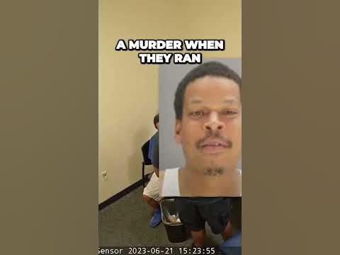 Shocking Truth Uncovered Disturbing Encounter Reveals Startling