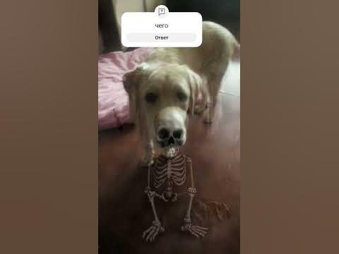 капец - YouTube