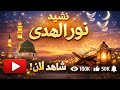 نشيد نور الهدى أجمل أناشيد عام 2026   