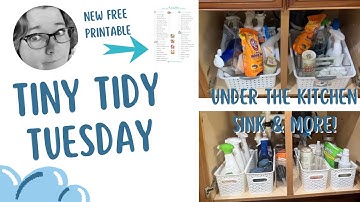 🍃Decluttering Under the Kitchen Sink, Planners & Paper Work | Tiny Tidy Tuesday Episiode 9