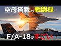 FA-18スーパーホーネット 日本も採用を検討したその強さに迫る【日本軍事情報】