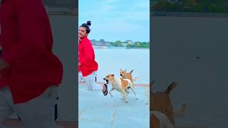 Dog🐶friendship speaks louder than word😥 #viraljump #talentedboystunt #dogapparel #funnydogs