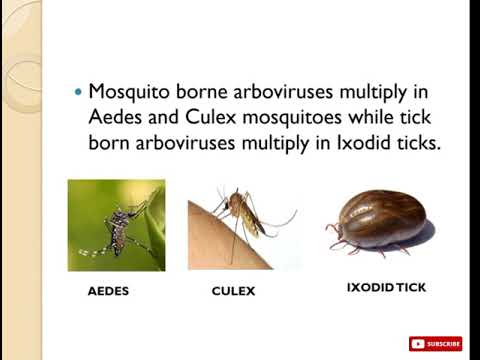 INTRODUCTION TO ARBOVIRUS.