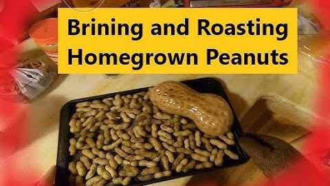 HOW to Brine and ROAST Homegrown PEANUTS