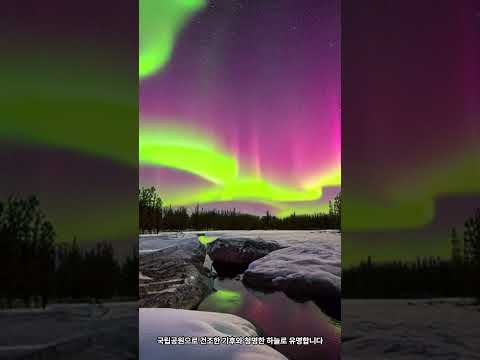 오로라를 제일 잘 볼 수 있는 나라 베스트 5 Shorts Aurora 오로라 알래스카 옐로나이프 핀란드 스웨덴