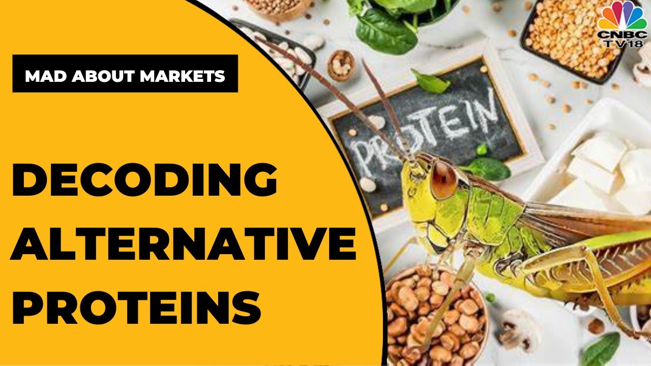 Decoding Alternative Proteins & How Can They Become Mainstream? | Mad ...