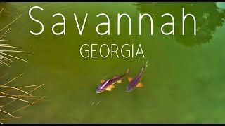 EPIC Shots of REDFISH and More! (DJi mini 2)