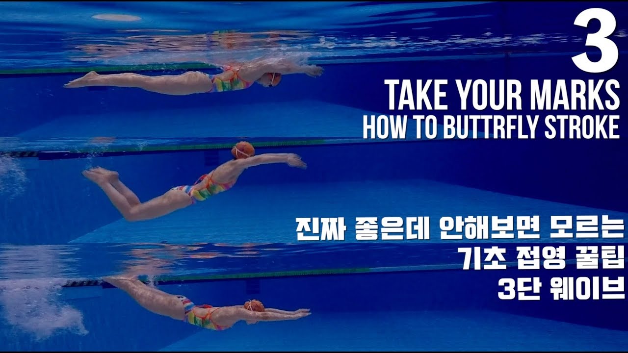 ENG/CHN) 이현진 수영 TYM ) 접영 꿀팁 , 3단계 웨이브로 접영하기 / 10분 접영 / how to butterfly stroke - 3