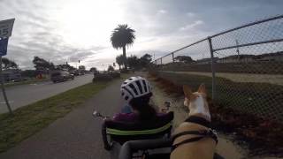 Recumbent Trike Ride with Noah - Unstoppable Joy by Recumbent Trike Adventures & My Dog Noah 725 views 9 years ago 6 minutes, 37 seconds