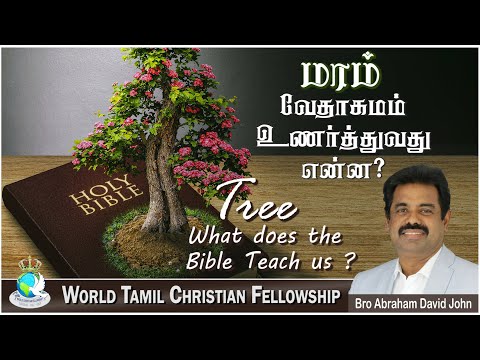 What does the Bible Teach us? - ?