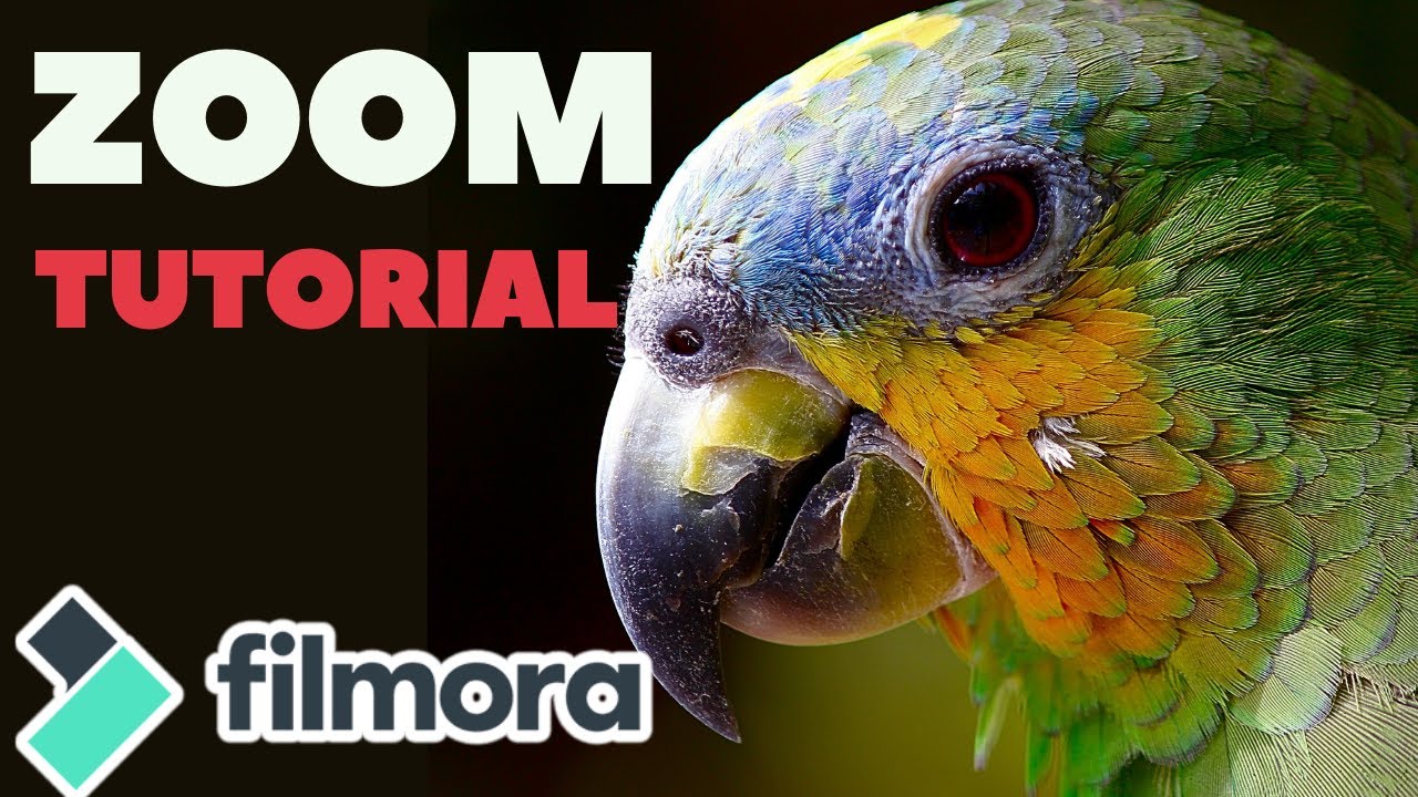 Como Hacer Zoom En Filmora 9