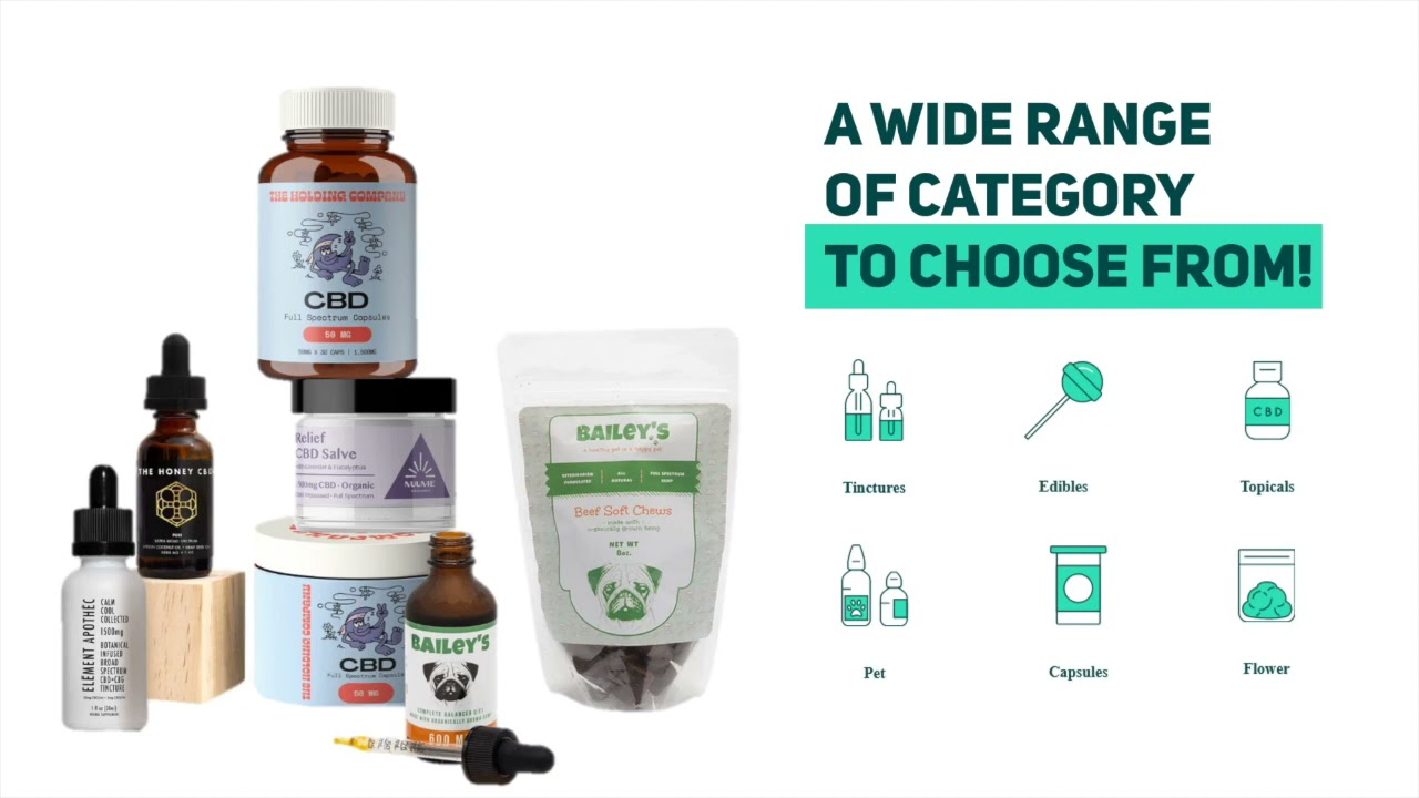 Treepost Overview  Promo Vid 1