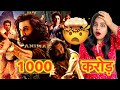 1000 crore lading  animal box office collection reaction  deeksha sharma