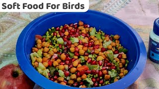 Soft Food For Parrot Birds Like Macaws, Cockatiels, African Grey & Budgies #parrotlover #birds screenshot 5