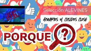 Porque seleccionar alevines de Frontosa ( Parte 1 )